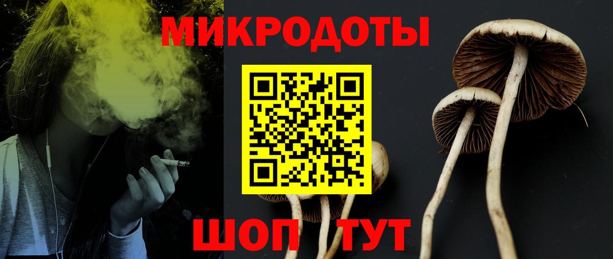 Псилоцибиновые грибы Magic Shrooms  Галлюциногенные грибы Psilocybine cubensis  Касимов  Вход с VPN 