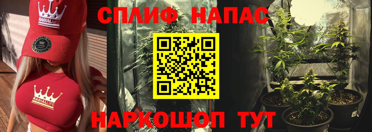 Канабис планчик Касимов